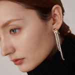 Load image into Gallery viewer, Earrings Vega Line
