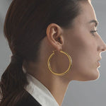 Load image into Gallery viewer, Aurena Hollow Hoop Earrings
